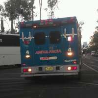 Leoncanito's profile picture. 