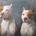 Ty Patterson - @TorranceTy - Twitter