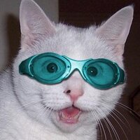 Bad Joke Cat (@badjokecat) 's Twitter Profile