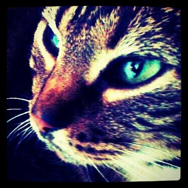I WANT FOOD (^.^)