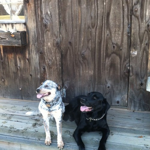 ChandlerShell's profile picture. 