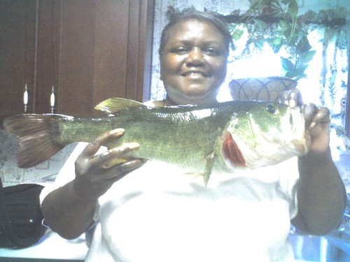 minceyga's profile picture. 