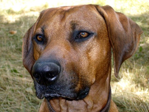 Jerezana2009's profile picture. Vive como si fueras a morir mañana, Aprende como si fueras a vivir siempre.  ;)