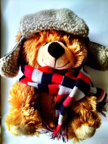 I am Theodore The Travelling Bear. http://t.co/V7zP2j4yxm