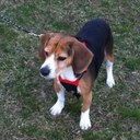 Michael Scotti - @paser69 - Twitter