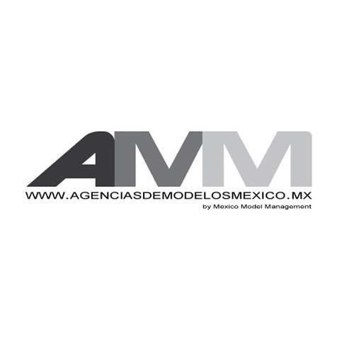 IF YOU FOLLOW ME I LL FOLLOW YOU BACK, Diseño web, MarketNet se especializa en Diseño de paginas web, desarrollo web, diseño de blogs a medida.