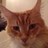 mrsh0ppers's profile image