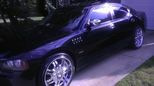 CagerPam's profile picture. 