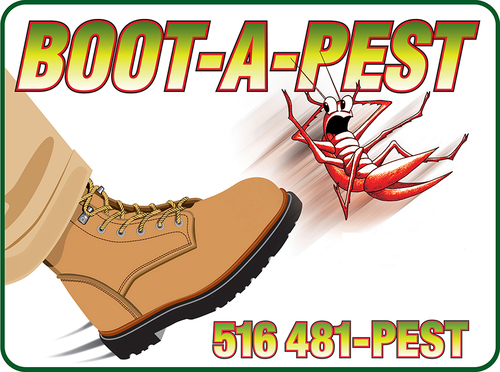 BOOTAPEST's profile picture. 