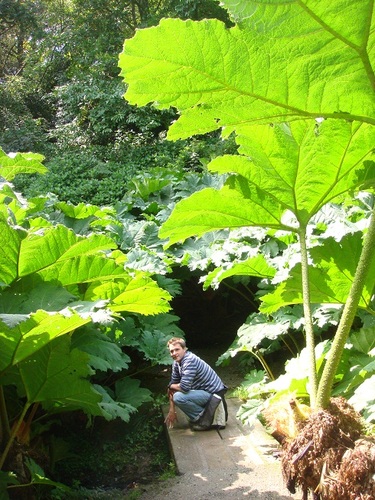 Garden Designer, Horticulturist and Landscaper based in South Cambridgeshire