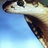 terrymagenis's profile image