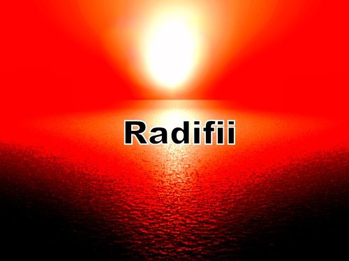 Musician/Writer #EDM #HipHop #LFC https://t.co/HJADaMpS7x