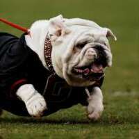 chuck_david70's profile picture. family, UGA football, golf.