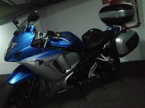 jorgezap99's profile picture. 