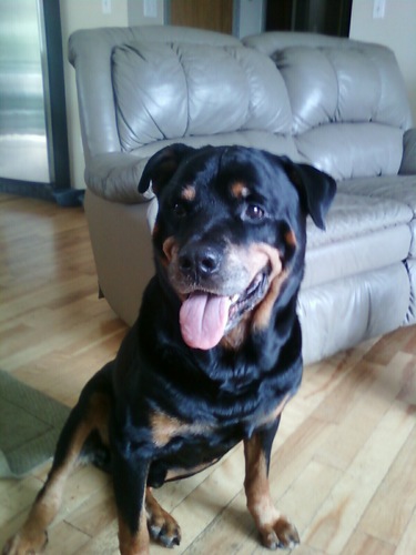 wbusheyj's profile picture. 