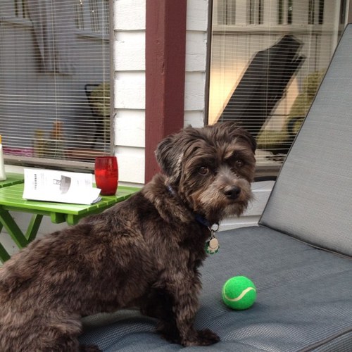 mmortono1's profile picture. 