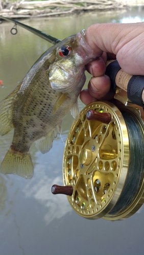 FloatTrotter's profile picture. 