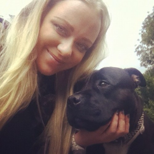 Stebb0es's profile picture. 