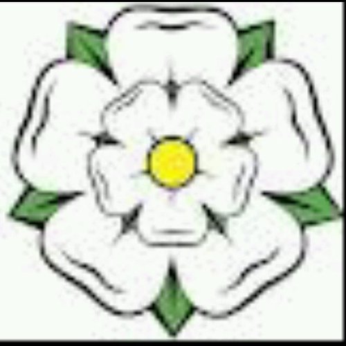 AWellings's profile picture. 