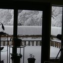 Bernice Morrow - @berbil2 - Twitter