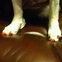 debby moon - @jdzzmoondog - Twitter