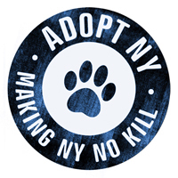 http://t.co/oSTepWk2nJ is a coalition of NY rescue groups working together to make NY NO KILL.