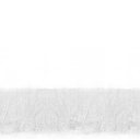 Darrel Wayne Sides - @SidesdSides - Twitter