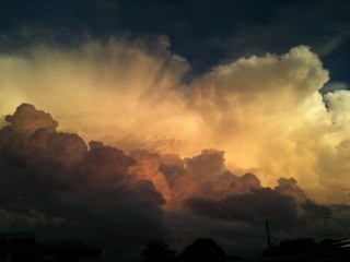 KathyBuerger's profile picture. Love Life, People, Nature, Freedom, Abundance & Truth