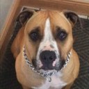 John Newcomb - @newcomb_john - Twitter