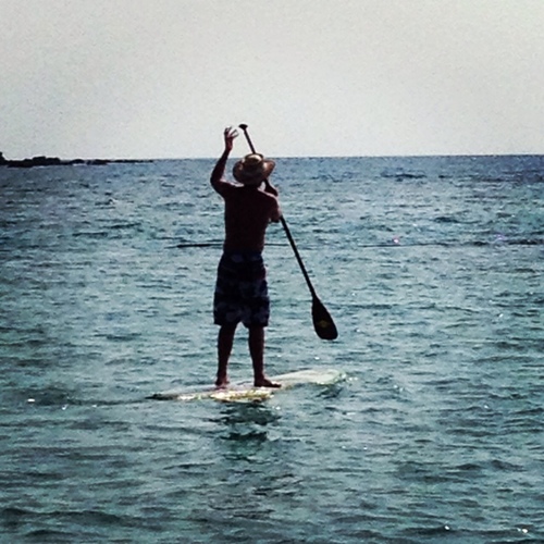 erwal3's profile picture. 