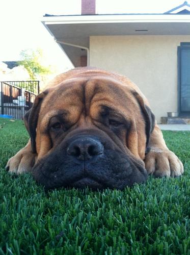 ThortenB's profile picture. Common sense and Christian values.