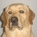 Walter Galvez B. - @wallynton - Twitter