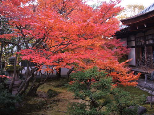 ENDKJ's profile picture. サンフレッチェ、京都サンガ、ガイナーレ、米国投信積立、日本株個別株。目標は限界まで節税。