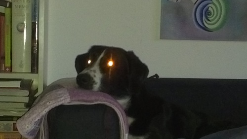 jenshilden's profile picture. 