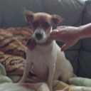 dave johns - @dave12345615 - Twitter