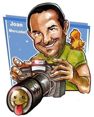 joanmercadal Profile Picture