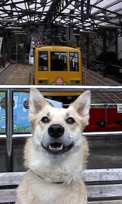 お笑い好き、アウトドア好き、旅人です。いつもわくわく！　