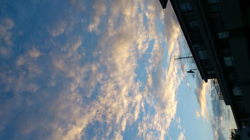 spheresquared's profile picture. 自由こそ財産って言いたい