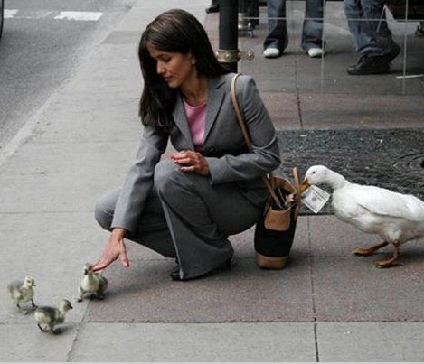 NooitGrappen's profile picture. De beste #nooitgrappig grappen in jouw TL! Help ons en volg, want een profiel bekijken en niet volgen is #nooitgrappig Contact: Nooit_Grappig@hotmail.nl