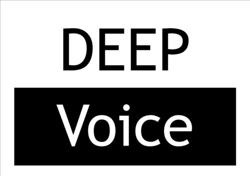 The Disability Expression & Employability Project. Led by young people with disabilities.