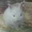 atbsx's profile image