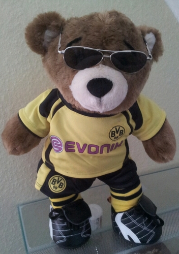 FittySandmahler's profile picture. Meine pelzigen Freunde, der BVB, Mitglied des @RWFCForeverNo1, was mir so durch den Kopf geht 🌈