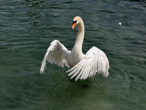 angelina19910's profile picture. 