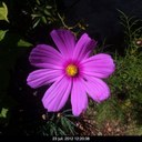 rohe david - @RoheDavid - Twitter