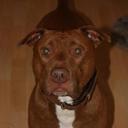 Angelo Neumann - @AngeloNeumann - Twitter