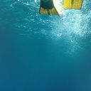 Marina Parra - @MarinaParra85 - Twitter