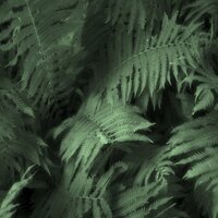 computerrecyclingpro (@ewastetn) 's Twitter Profile