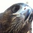 Fletann's profile image