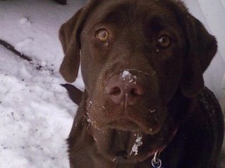 lorimarkey's profile picture. 