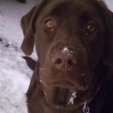 Lori Markey - @lorimarkey - Twitter